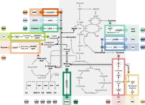 中國團隊成功開發高性能細胞通訊系統，攻克多細胞系統工程難題